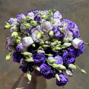 Eustoma