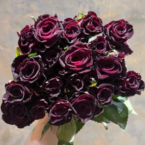 Black Baccara