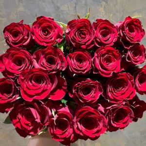 Plateau Red